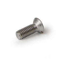 Voltage Coffee Supply Nuova Simonelli Shower Plate Screw M6x16mm 00300021 Victoria Arduino